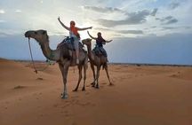Merzouga Desert Campsite &Camel Excursions