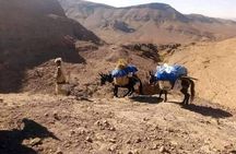 3 Days Trekking in the Berber Village 