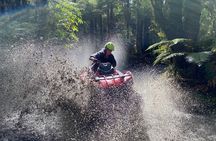 Off Road Quad Bike Adventure Tour in Franz Josef