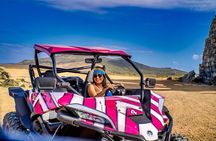 Wild Side UTV Tour: Explore the Northern treasure 