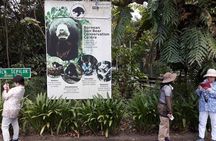 Full-Day Sepilok Orangutan,Sun Bear & Sandakan City Trail from Kota Kinabalu