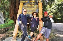 Full Day Private Hiking Tour to Kilimanjaro Mountain