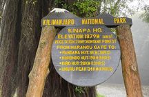 Full Day Private Hiking Tour to Kilimanjaro Mountain