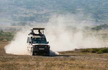 6-Day Honeymoon Safari Tour Package in Tanzania