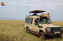 Group Safari 7 Days in Tanzania's Main Parks