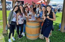 Half Day Wine & Cheese Tour - Niagara On The Lake Wine Tour