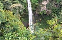 Jakarta Bogor Botanical Garden, Waterfall and Rice terrace, Lunch