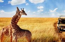Full Day Isimangaliso Wetlands & Boat Cruise Tour from Durban
