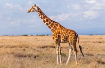 Full Day Isimangaliso Wetlands - World Heritage Site From Durban