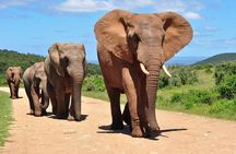 Full Day Isimangaliso Wetlands - World Heritage Site From Durban