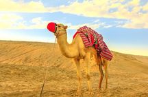 Dubai Morning Desert Safari Dunes Bashing Sand Boarding Adventure