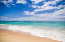 Full Day Durban & Phezulu Safari Park Tour from Durban