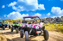 ThrillSeekers: Aruba UTV Tour & Cliff Jump at Natural Pool