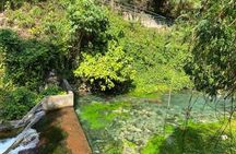 RastaSafari and Negril tour with French Guide