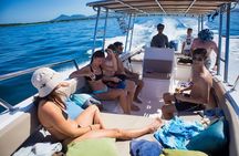 Private Charter: Chica Super Panga 30'