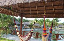 4 Cenotes Full Day Tour from Merida