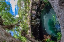 4 Cenotes Full Day Tour from Merida