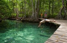 Celestun Beach and Mangrove Boat Ride from Merida