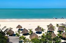 Celestun Beach and Mangrove Boat Ride from Merida