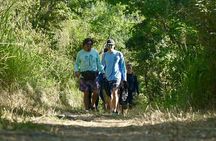 Honeymoon Beach Eco Hike and Snorkel