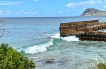 Electric Beach Snorkeling with Dolphins Tour