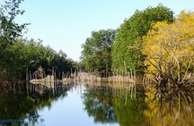 Hue Countryside Tour with Fishing Activities by Net and Trap