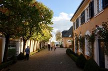 Small Group Rheingau Vineyards Tour with Castles and Abbeys