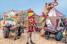 Private Same Day Trip to Pushkar from Jaipur