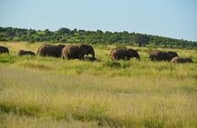 2 Days 1 Night Northern Joining Safari Private Tour