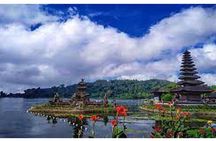 Private Tour Bali Swing & Visiting Temples in Bali
