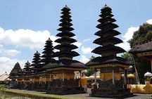 Private Tour Bali Swing & Visiting Temples in Bali