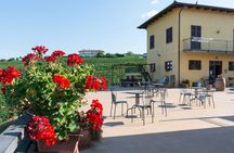 Langhe and Monferrato Wine Tasting with the Producer