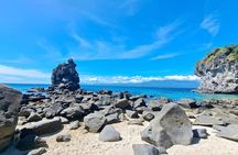 Full Day Apo Island Tour from Dumaguete 