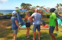 Full Day Group Tour in Tobago Atlantic Coast 