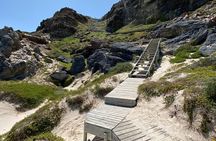 Full Day Private Tour to Boulders Beach from Cape Town