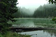 Podgorica Day Trip to North - Biogradska Gora National Park 