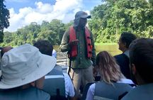 Canoe Boat Tour in Tortuguero Canal