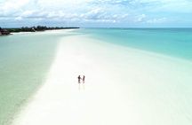 Holbox Island Tour Golf Cart Ferry with Lunch and Transportation
