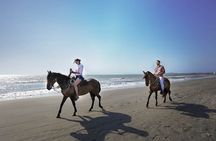 Private Mangrove Tour + Lunch + Horse riding + fishing classes