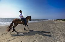 Private Mangrove Tour + Lunch + Horse riding + fishing classes