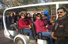 Taj Mahal Tour From Delhi By Luxury Car All Including
