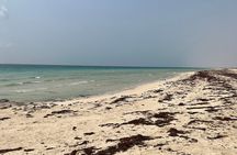 2 Days Trip to Farasan Islands in Jazan All inclusive