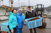 Explore Fishermen Island in Japan(Ise-Shima)