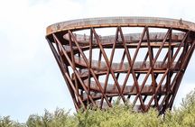 The Forest Tower and Forgotten Giants-A day tour from Copenhagen