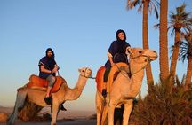 Marrakech: Private Camels & Quads on Sunset with Dinner, Fireshow