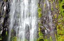 Day trip to Materuni waterfall, Coffee tour and Moshi Nightlife