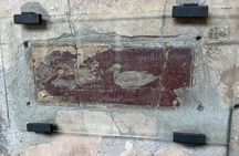 Pompeii walking tour (2hrs)