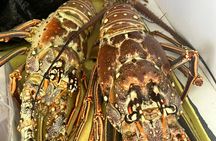  4HR-Halfday Private Fishing Tour in Gracebay 