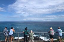 Private North Shore Tour From Waikiki