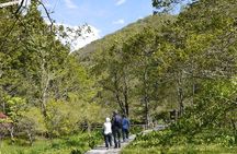 Easygoing Nature Walk in Hakone Tour
